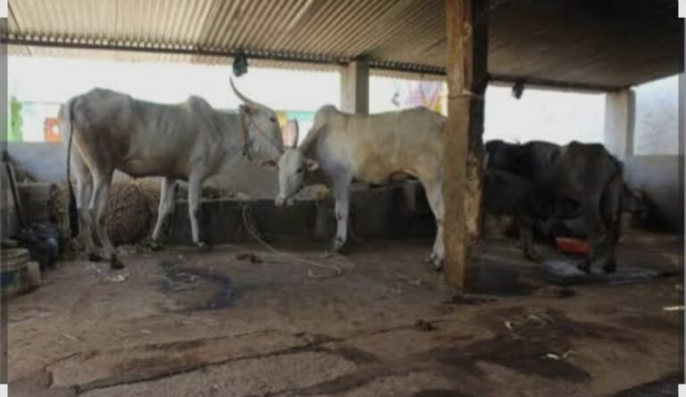 MGNREGA ಯೋಜನೆ